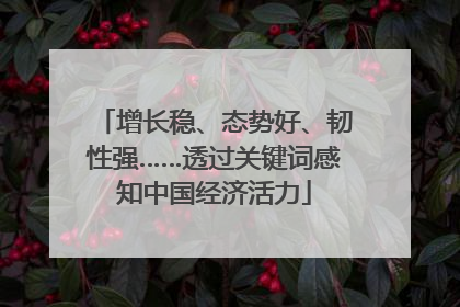 增长稳、态势好、韧性强……透过关键词感知中国经济活力